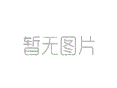 亮標識、亮標準、亮承諾 義博會(huì )“品字標”助力高質(zhì)量發(fā)展